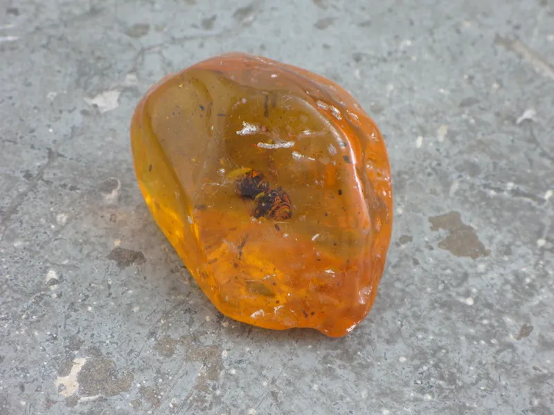 出来事をどう数えるか 25